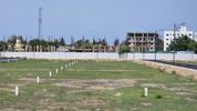 Royal C