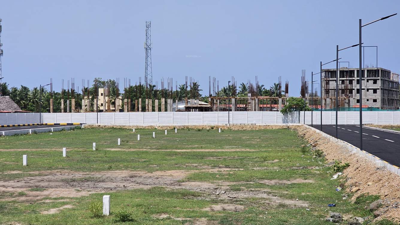  royal c Plot