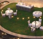 Party Lawn  aurum Party Lawn