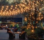 Party Lawn  aurum Party Lawn