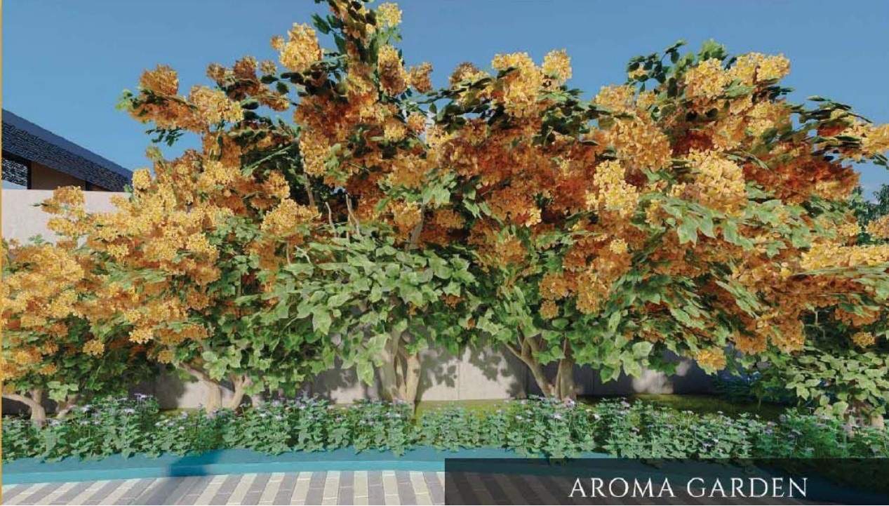  orchard park Landscape Garden and Tree Planting