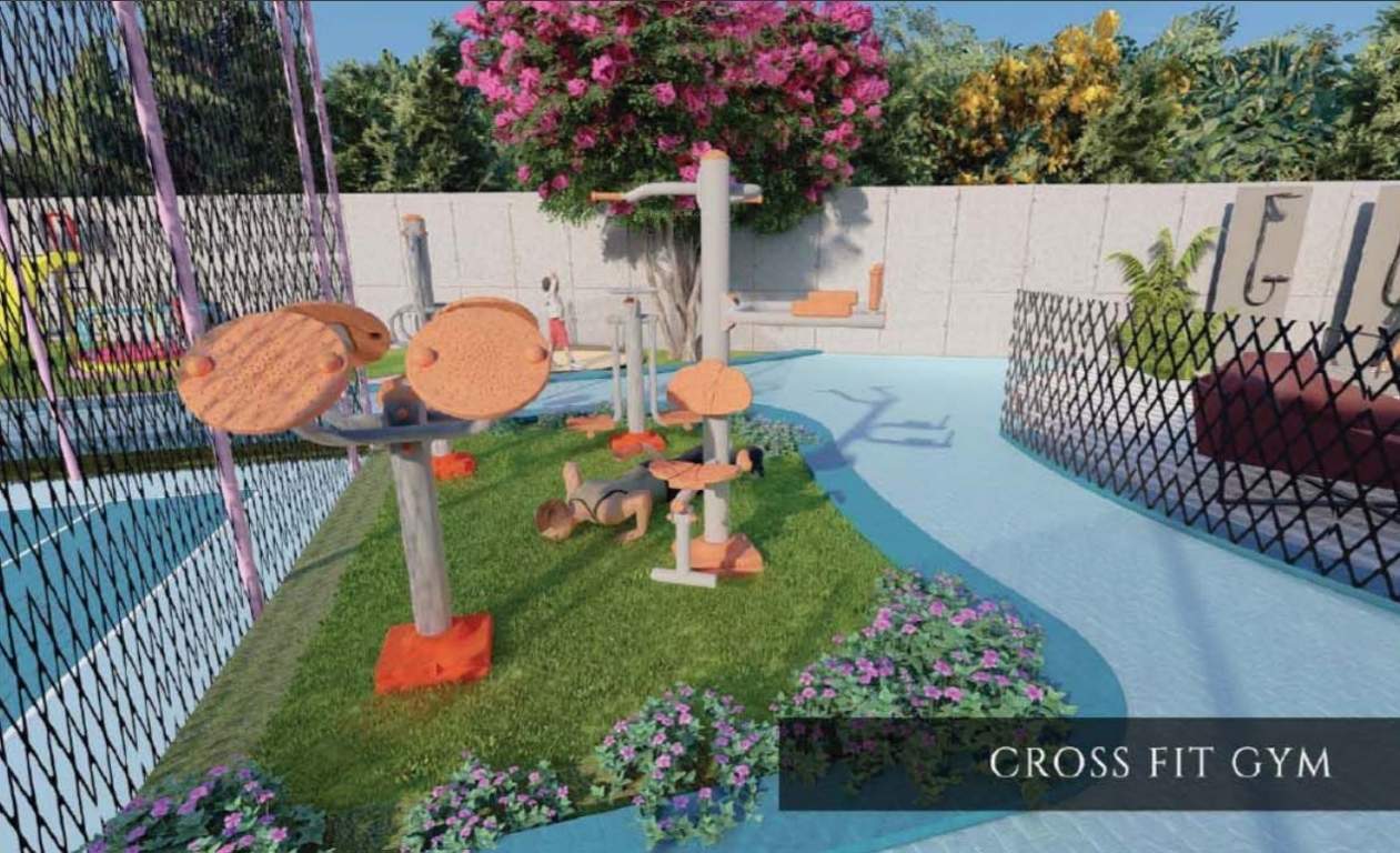  orchard park Open Gym