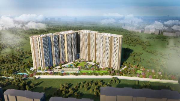  the-urban-forest Elevation