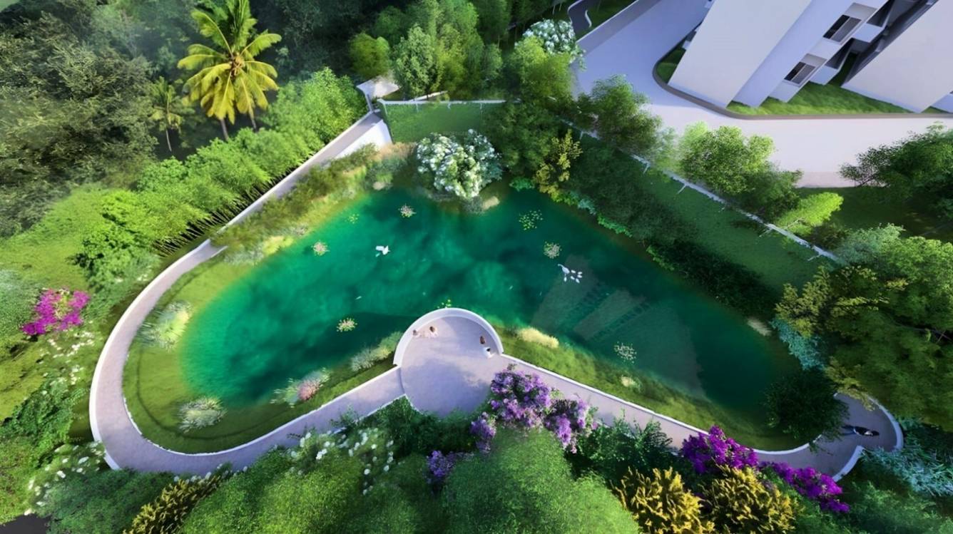  the urban forest Others