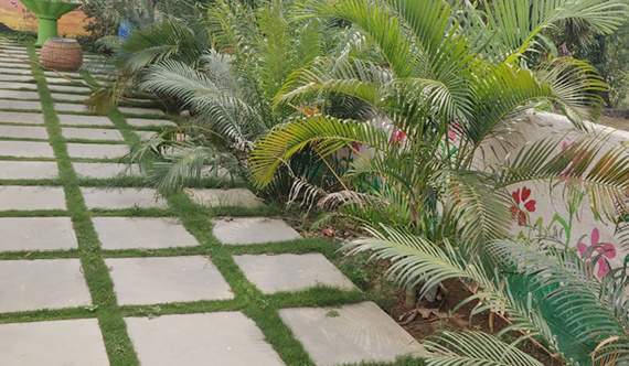  giridhari arcade Landscape Garden and Tree Planting