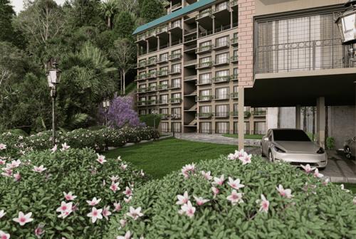  belvoir-hills Landscape Garden and Tree Planting