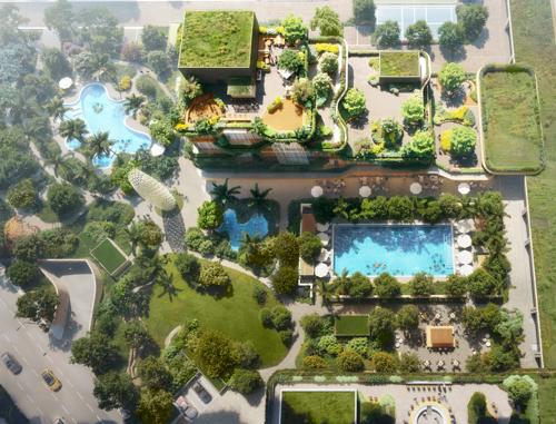 Landscape Garden and Tree Planting gaia-residences-at-amstoria-102 Landscape Garden and Tree Planting