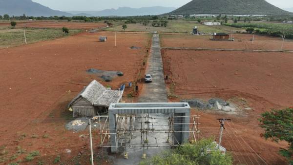  golden-meadows Construction Status July-25