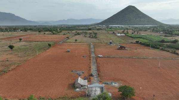  golden-meadows Construction Status July-25