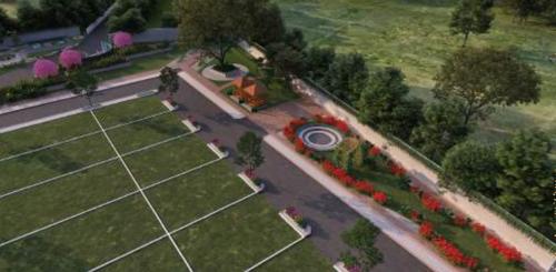  south-city Landscape Garden and Tree Planting