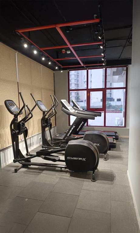  puraniks mirai life Gymnasium