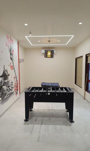  puraniks-mirai-life Indoor Games