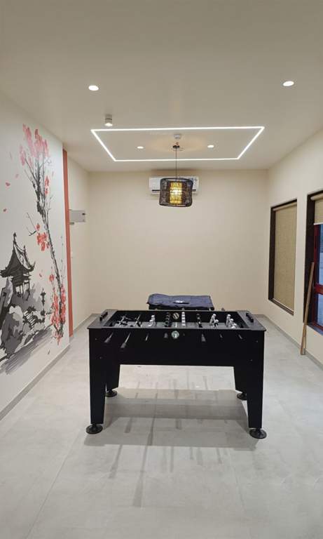  puraniks mirai life Indoor Games