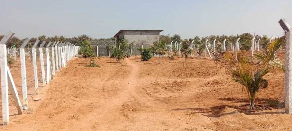  green-city Elevation