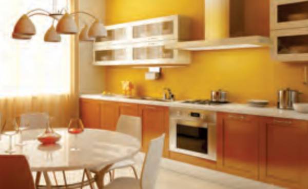  radhakrishna-nilayam Kitchen