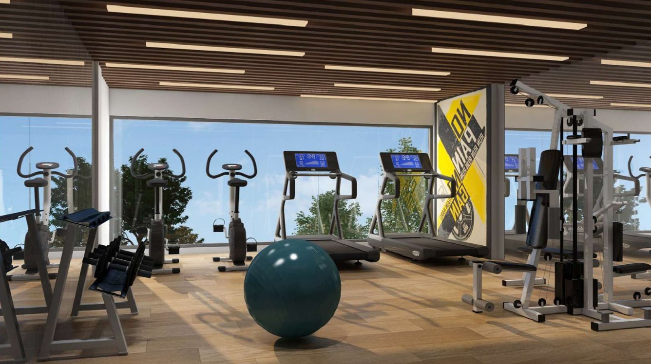  sunrise park Gymnasium