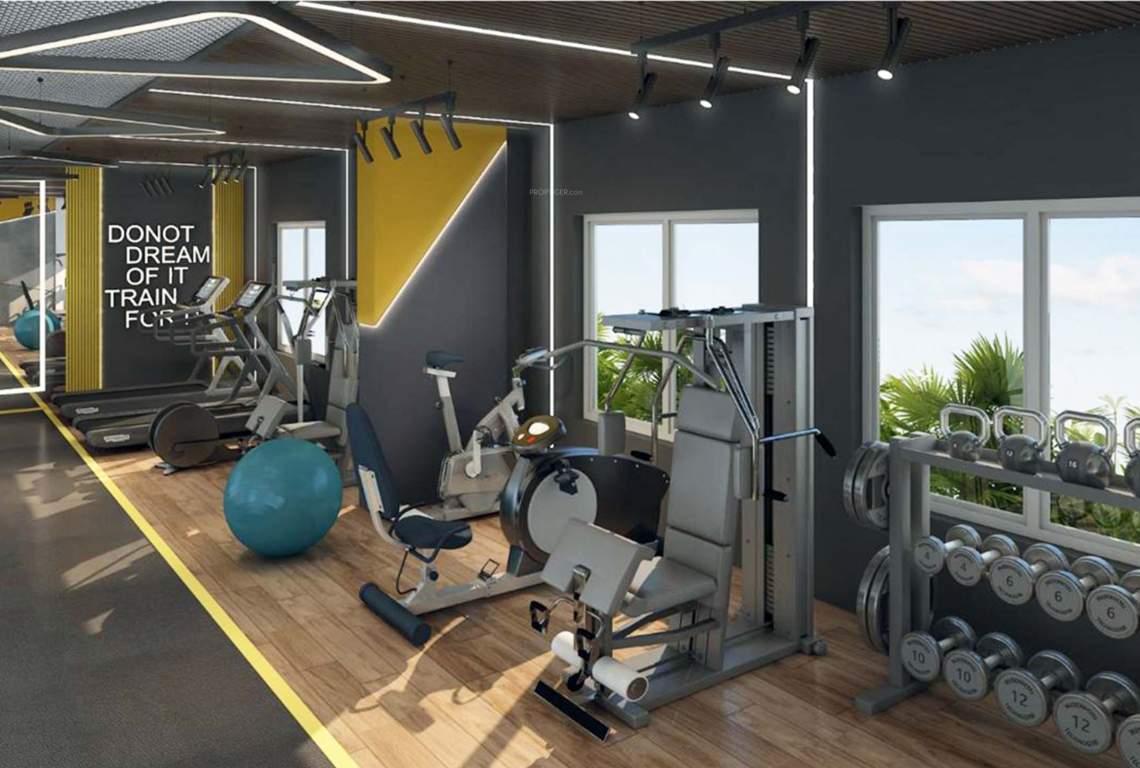  magnificent Gymnasium