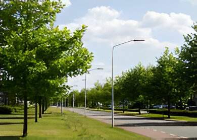  pothigai garden Landscape Garden and Tree Planting