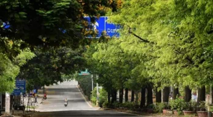  kuteera Landscape Garden and Tree Planting