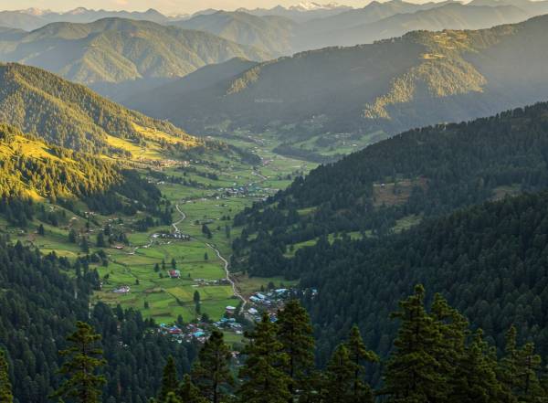  glacial-meadows Elevation