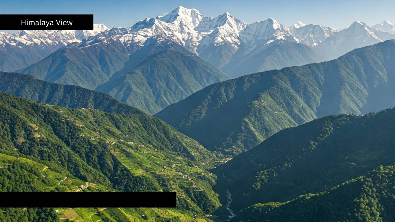 glacial meadows Plot