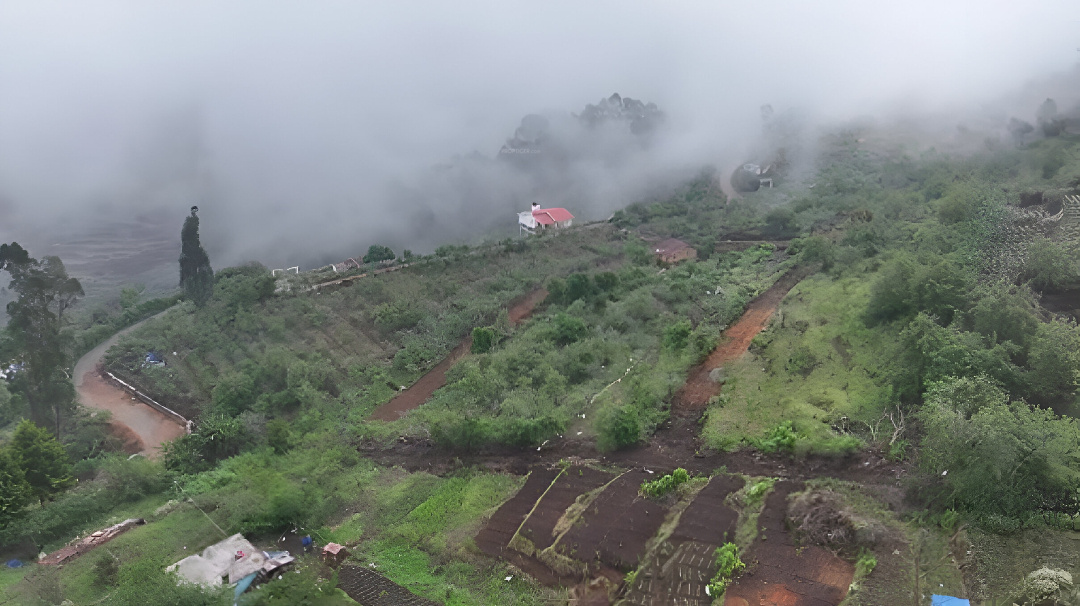  crown boulevard Plot