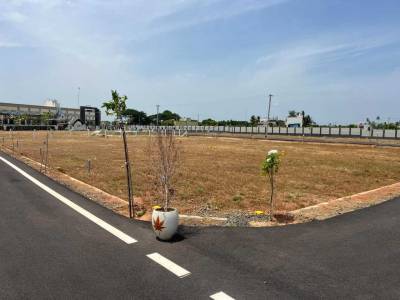  tbs-first-city Elevation