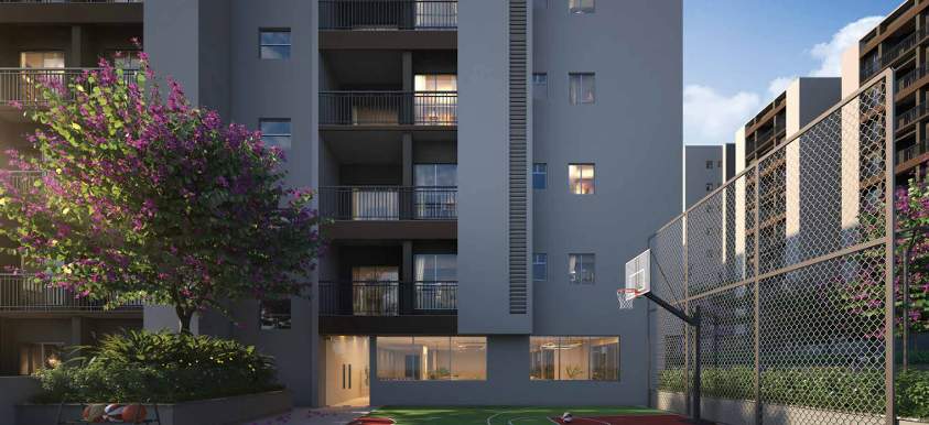  spacia Basketball Court