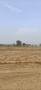 MPB Property Vision Sunrise Enclave