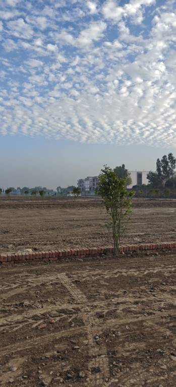 sunrise enclave Plot