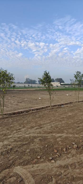 sunrise enclave Plot