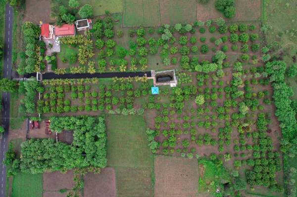  sai-sakthi-farms Plot