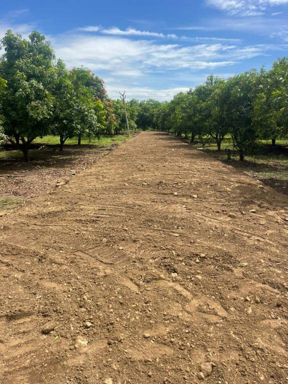 sai sakthi farms Plot