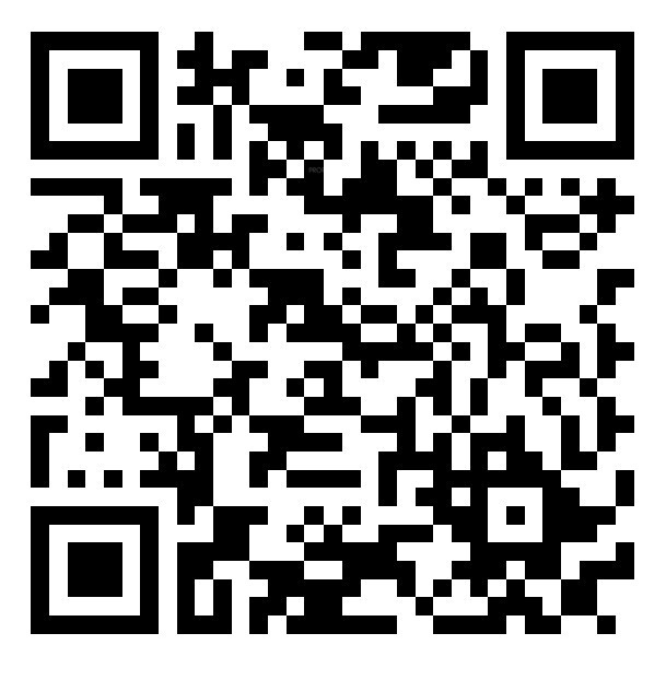 QR Image