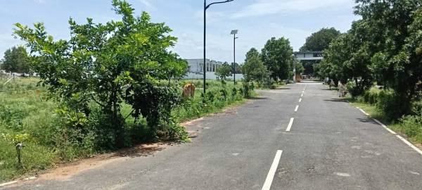  green-city-phase-1 Plot