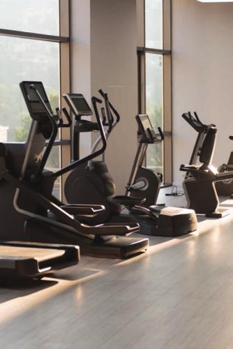  vanaha-verdant-mahogany-i-and-ii Gymnasium