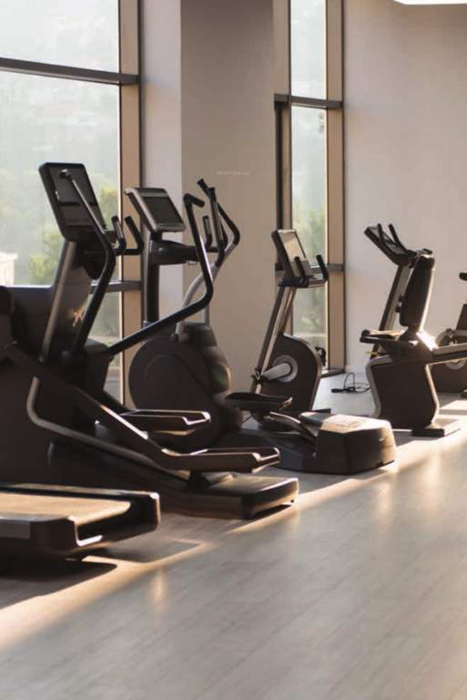  vanaha verdant mahogany i and ii Gymnasium