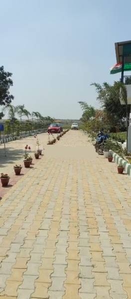  av-farm Internal Roads & Footpaths