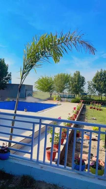  av farm Swimming Pool