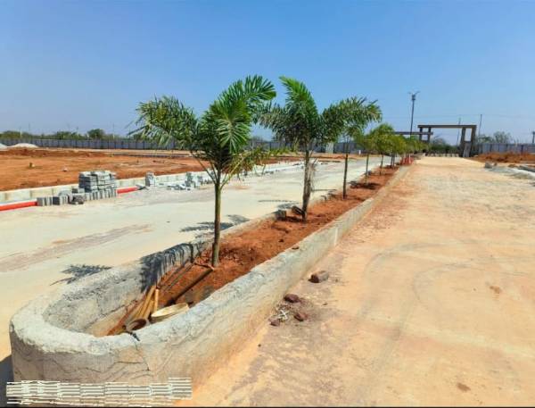  hampton-palms Internal Roads & Footpaths