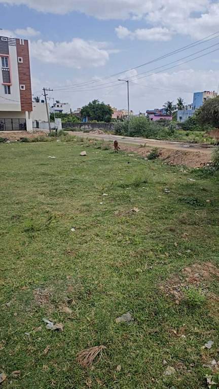  manish avenue Plot