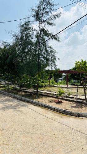  aasra-encalve Landscape Garden and Tree Planting