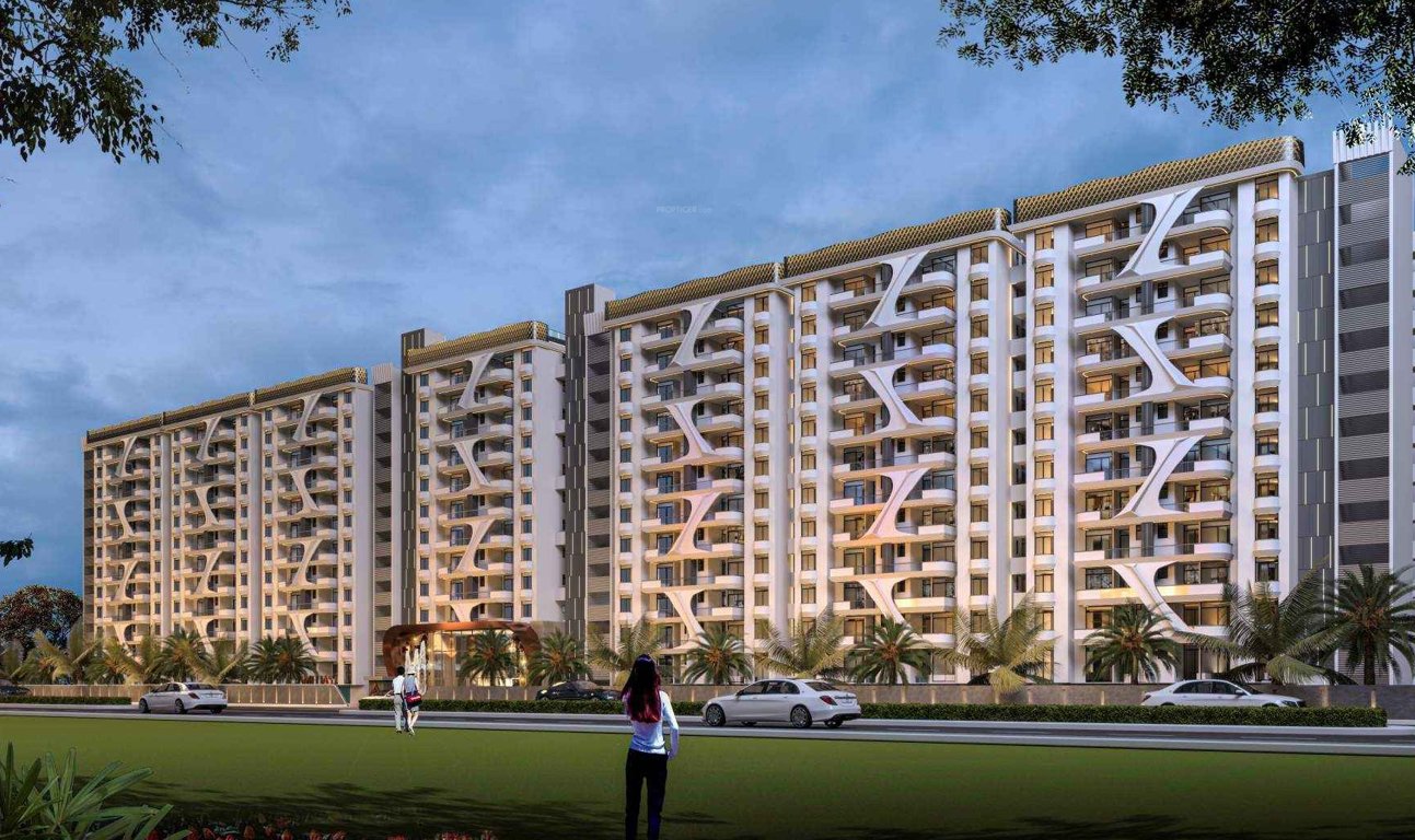  the amelias  Elevation