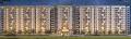 Samanvay Buildtech Pvt Ltd The Amelias