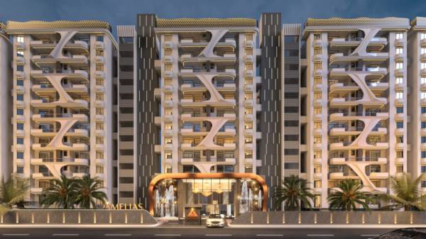  the-amelias- Elevation