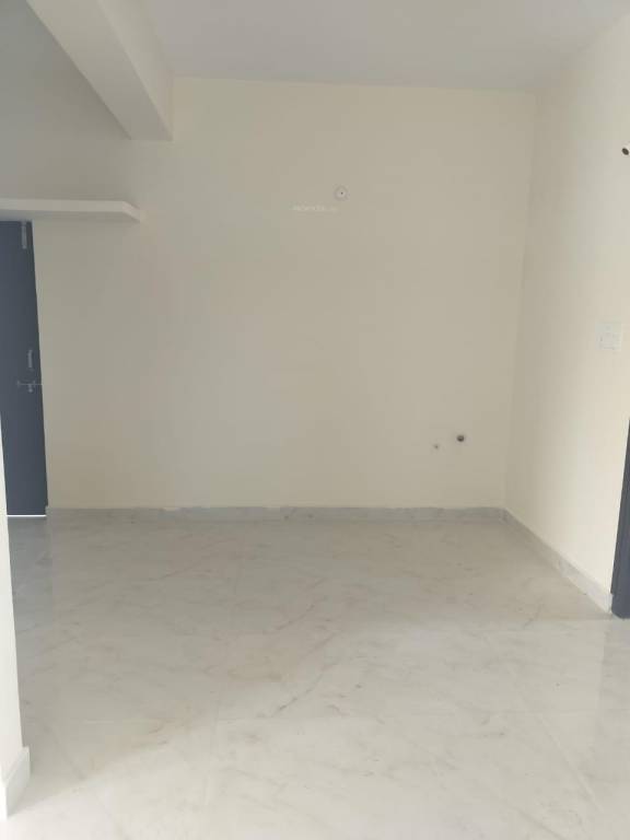 Thimu Blue Bell Block F