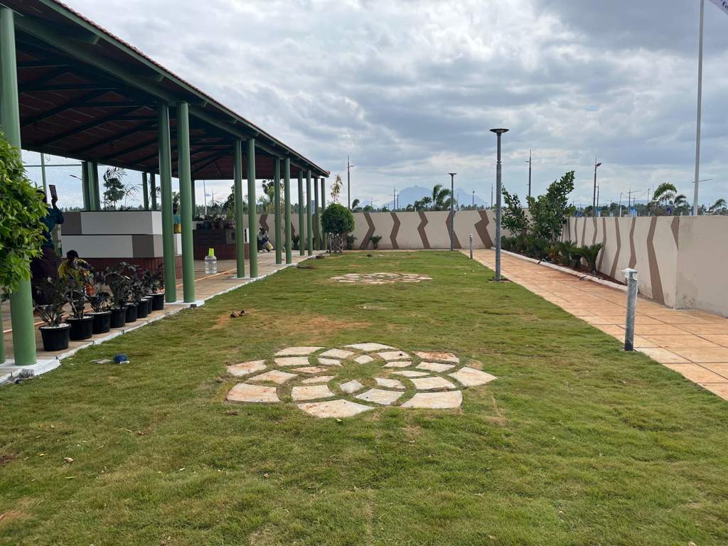  one world Landscape Garden and Tree Planting