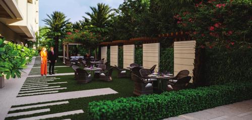  valenza Landscape Garden and Tree Planting