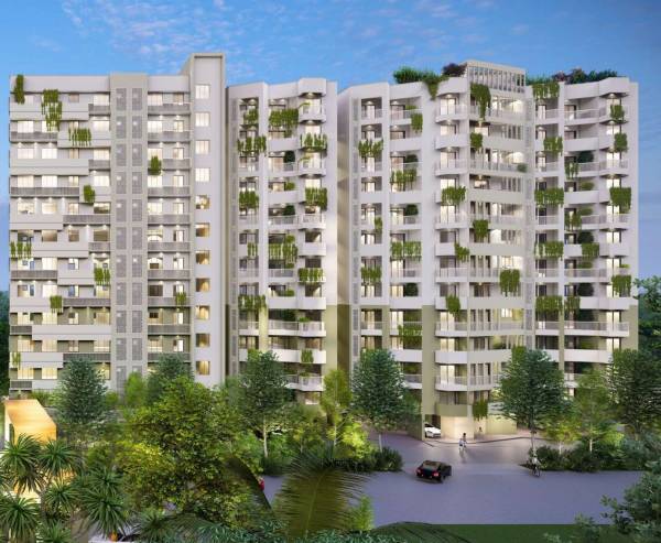  costa-furtune-crestview Elevation