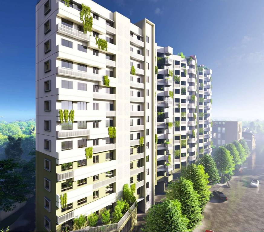 costa furtune crestview Elevation